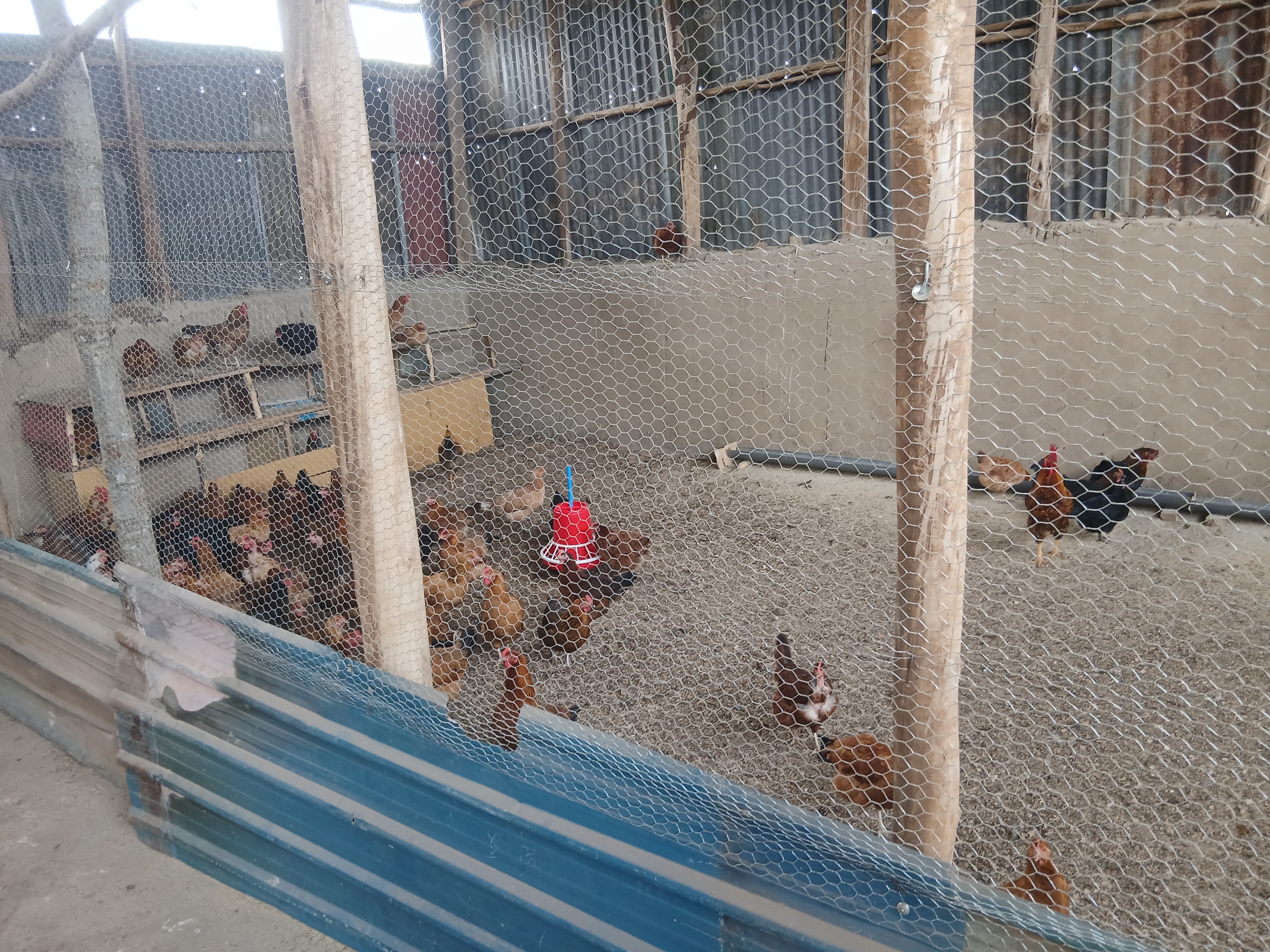 Kigali Workshop & Testing Lab